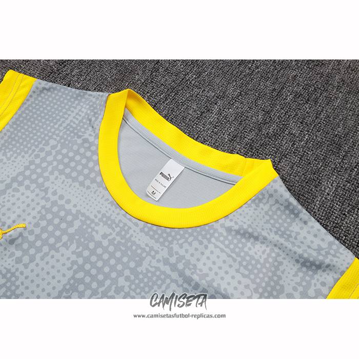 Camiseta de Entrenamiento Borussia Dortmund 2025-2026 Sin Mangas Gris